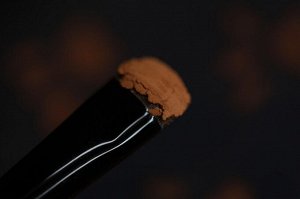 Практикантка Кошковедения