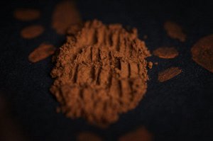 Практикантка Кошковедения