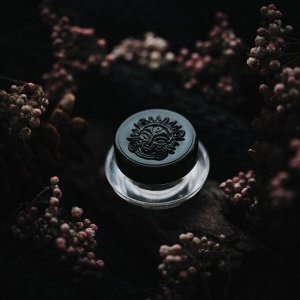 Арестовавшая Медведя
