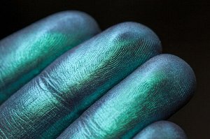 Красавица на Подводной Колеснице