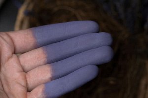 Вождь Лавандовых Шиншилл