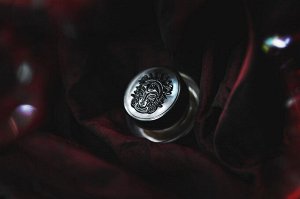Муза Рассыпчатые тени для век Sigil inspired Tammy Tanuka, тон "Муза", локация Темый Замок.

 

 Техническая информация:

 Цвет: средний коричневый с красноватым подтоном.

 Рекомендации по нанесению: