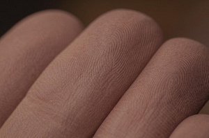 Тени для век Румяна НЕПОКОРНЫЕ ОБЛАКА