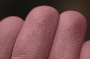 Тени для век Румяна ПЬЯНЫЕ ОБЛАКА