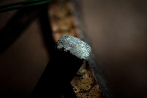 Обернувшаяся Змейкой