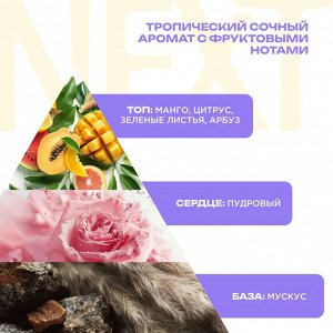 Сухой шампунь для волос Next Generation «Fantasy mood» 150 мл