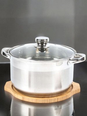 Кастрюля с крышкой 6.3 л (24см), нержавеющая сталь