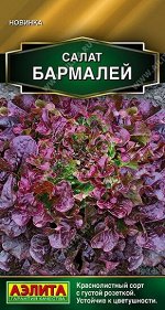 Салат Бармалей (Код: 93122)