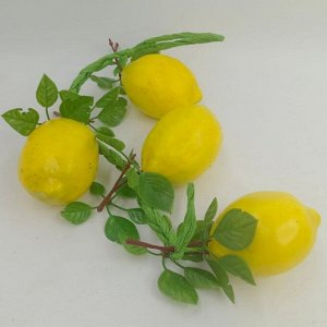 Лимон, муляж