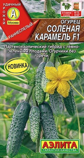 Огурец Соленая карамель F1 (Код: 92257)