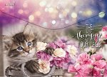 ПАПКА НА КНОПКЕ ЦВ А4 150МКМ &quot;CAT&quot;