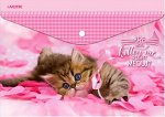 ПАПКА НА КНОПКЕ ЦВ А4 150МКМ &quot;Kitten&quot;