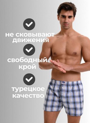 Мужские трусы семейные Berrak