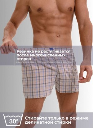 Мужские трусы семейные Berrak