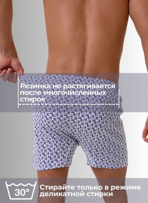 Мужские трусы семейные Berrak