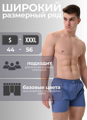 Мужские трусы семейные Berrak
