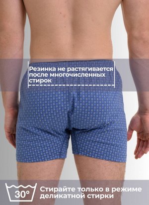 Мужские трусы семейные Berrak
