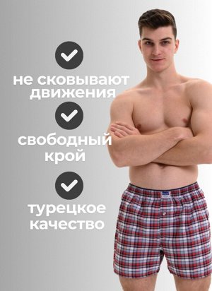 Мужские трусы семейные Berrak