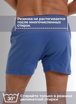 Мужские трусы семейные Berrak