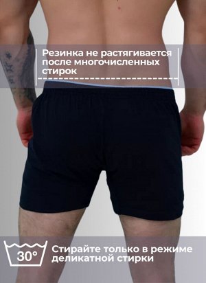 Мужские трусы семейные Berrak