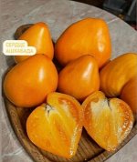 СЕРДЦЕ АШХАБАДА