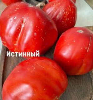 "ИСТИННЫЙ. Италия."