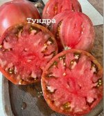 Тундра.