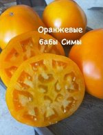 &quot;ОРАНЖЕВЫЕ БАБЫ            СИМЫ.&quot;