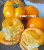 ВАЛЕНСИЯ.