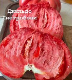 "ДЖИЛЬДО ПИЕТРОБОНИ Италия"