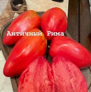 "АНТИЧНЫЙ РИМА          ( АНТИЧНЫЙ РИМСКИЙ)                                       Италия"