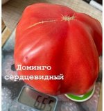 &quot;ДОМИНГО           СЕРДЦЕВИДНЫЙ.                              США&quot;