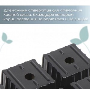 Кассета для рассады, 6 ячеек по 120 мл, пластик, чёрная, набор 5 шт.