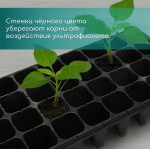Кассета для рассады, 32 ячейки по 150 мл, пластик, чёрная, 51x28x10 см, Greengo