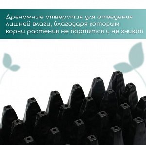 Кассета для рассады, 32 ячейки по 150 мл, пластик, чёрная, 51x28x10 см, Greengo