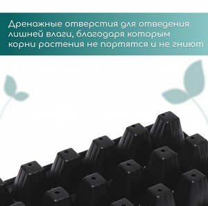 Кассета для рассады, 21 ячейка по 150 мл, пластик, чёрная, 54x28x7 см, Greengo