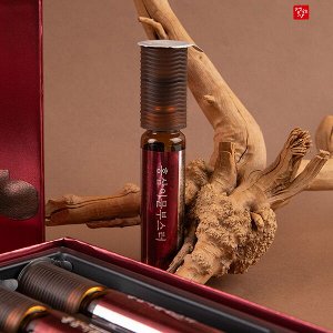(Набор) Бустер для укрепления иммунитета с красным женьшенем Jungwonsam Red Ginseng Immune Booster, 20г *20шт (бустер + таблетка)