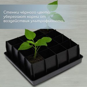Набор для рассады: пластиковая вставки на 16 ячеек, по 130 мл, пластиковый чёрный поддон, 26.5x26.5x3 см