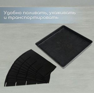 Набор для рассады: пластиковая вставки на 16 ячеек, по 130 мл, пластиковый чёрный поддон, 26.5x26.5x3 см