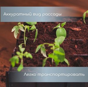 Набор для рассады: пластиковая вставки на 16 ячеек, по 130 мл, пластиковый чёрный поддон, 26.5x26.5x3 см