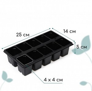 Кассета для рассады Greengo на 10 ячеек, по 100 мл, пластиковая, чёрная, 25x14x5 см