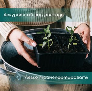 Кассета для рассады Greengo на 10 ячеек, по 100 мл, пластиковая, чёрная, 25x14x5 см