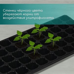 Кассета для рассады, 50 ячеек по 75 мл, пластик, чёрная, 56x29.5x4 см, Greengo