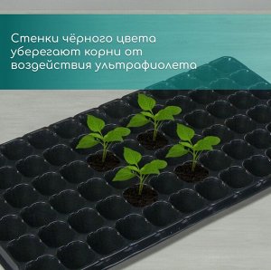 Кассета для рассады, на 72 ячейки, по 50 мл, из пластика, чёрная, 54x28x4 см, Greengo