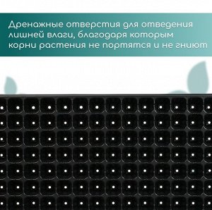 Кассета для выращивания рассады Greengo на 128 ячеек, по 15 мл, пластиковая, чёрная, 54x28x5 см
