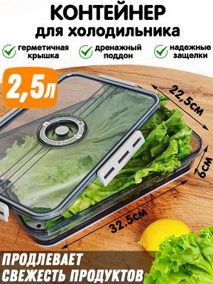 Контейнер для хранения охлажденных продуктов 7003 Размер: 32.5х22.5х6.2 см (ДхШхВ)