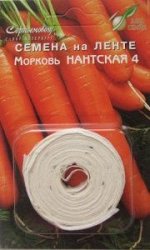 Морковь Нантская 4 на ленте