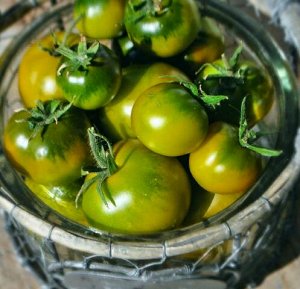 Томат "Lime Green Salad" (10 семян).