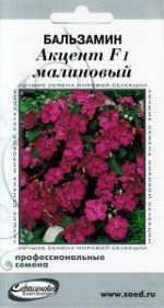 Бальзамин Акцент малиновый