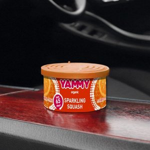 Ароматизатор на торпедо Yammy Sparkling Squash (Свежесть), с растительным наполнителем, баночка 42г, арт. D015